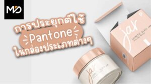 การประยุกต์ใช้ Pantone ในกล่องบรรจุภัณฑ์