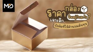 ราคากล่องขึ้นอยู่กับอะไร? เจาะลึกปัจจัยที่ใช้คำนวณต้นทุน