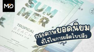 ประเภทกระดาษยอดนิยมที่ใช้ในการผลิตใบปลิว